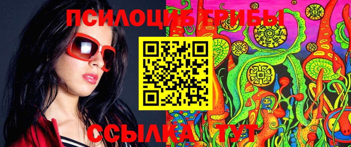 Галлюциногенные грибы Psilocybine cubensis  Вход с VPN  Набережные Челны 