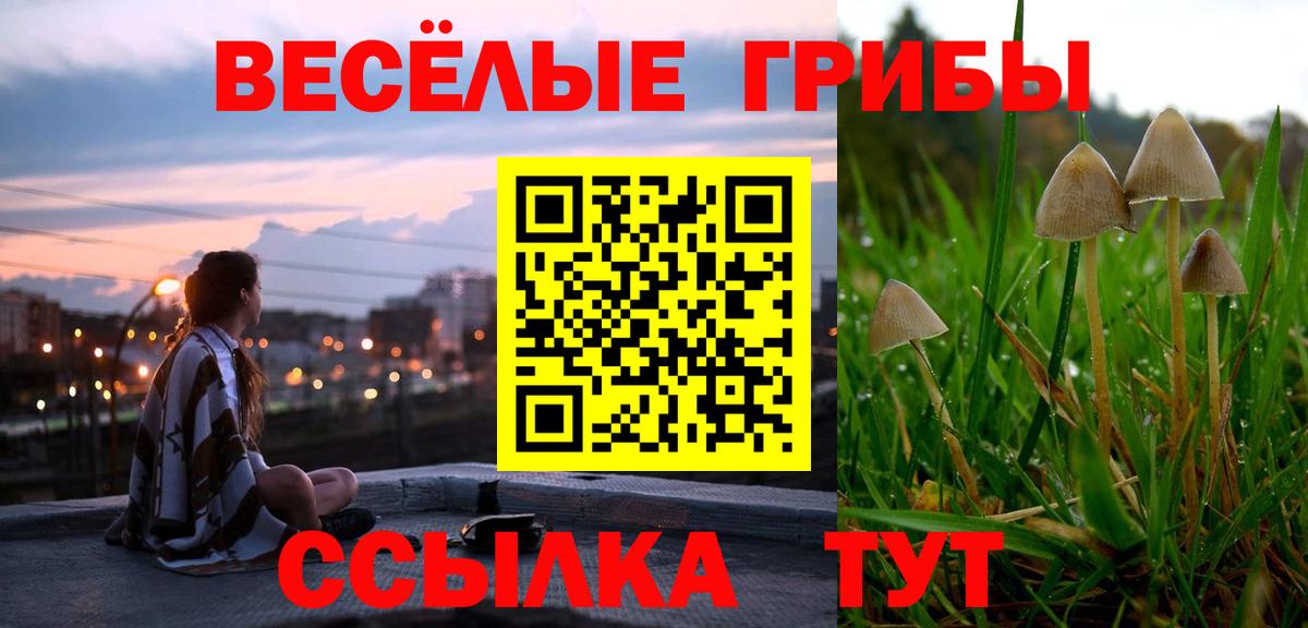 Галлюциногенные грибы Psilocybine cubensis Набережные Челны